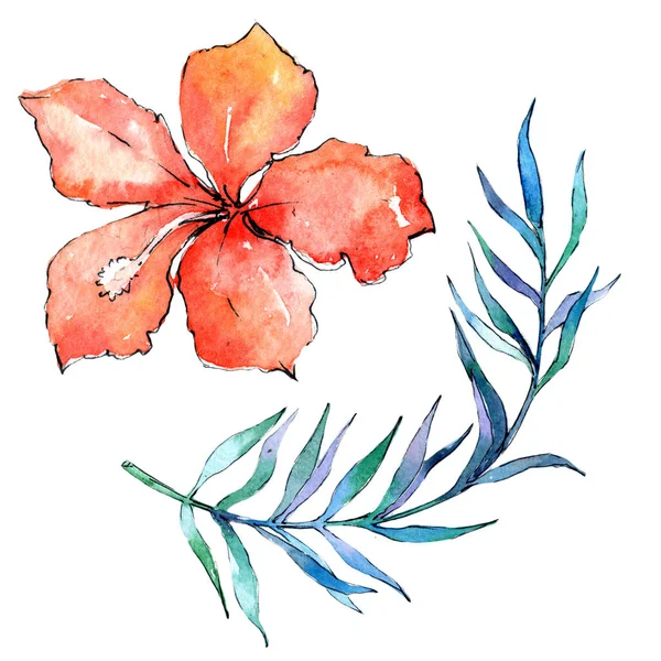 Tropikal Hawaii palmiye ağacı izole bir suluboya tarzında bırakır..