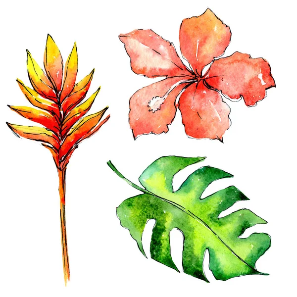 Tropische Hawaii Blätter Palme in einem Aquarell-Stil isoliert. — Stockfoto