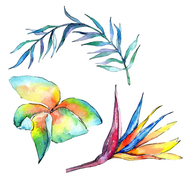 Tropische Hawaii Blätter Palme in einem Aquarell-Stil isoliert. — Stockfoto