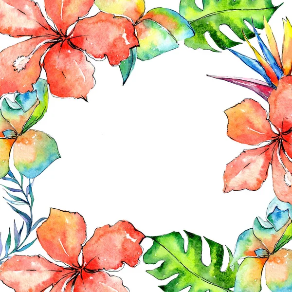 Tropikal Hawaii palmiye ağacı çerçeve bir suluboya tarzında bırakır..