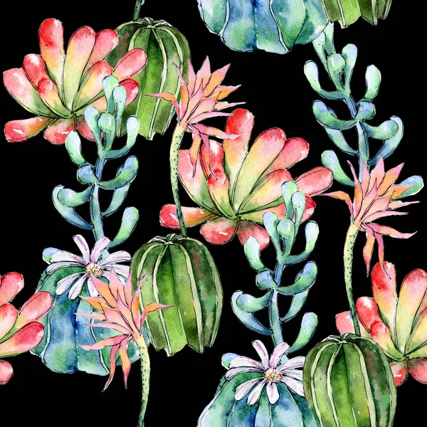 Wildflower cactuses flower pattern in a watercolor style. — Stock Photo, Image