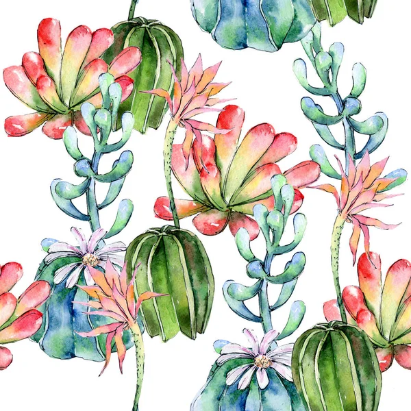 Cactus de fleurs sauvages motif de fleurs dans un style aquarelle . — Photo