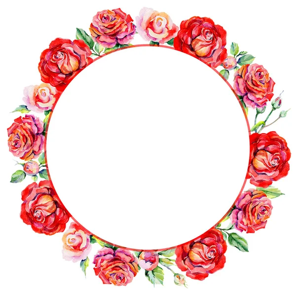 Kır çiçeği rosa çiçek çerçeve suluboya tarzında.