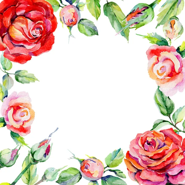 Vadvirág rosa virág keret akvarell stílusú. — Stock Fotó
