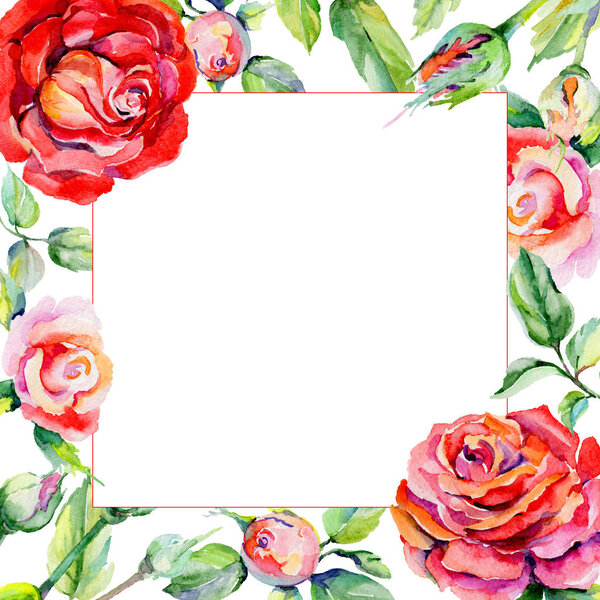Wildflower rosa flower frame in a watercolor style.