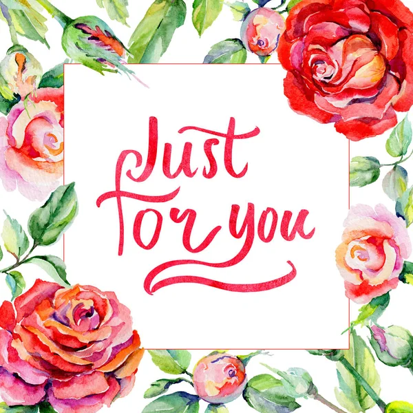 Kır çiçeği rosa çiçek çerçeve suluboya tarzında.