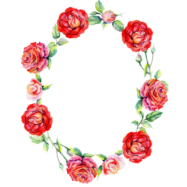 Kır çiçeği rosa çiçek çelenk suluboya tarzında .