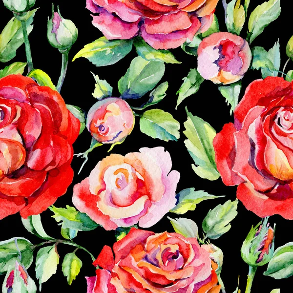 Kır çiçeği rosa çiçek deseni suluboya tarzında.