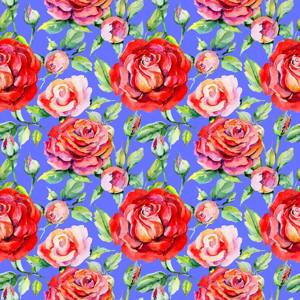 Kır çiçeği rosa çiçek deseni suluboya tarzında.