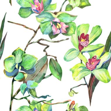 Kır çiçeği orkide çiçek deseni suluboya tarzında.