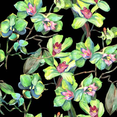 Kır çiçeği orkide çiçek deseni suluboya tarzında.