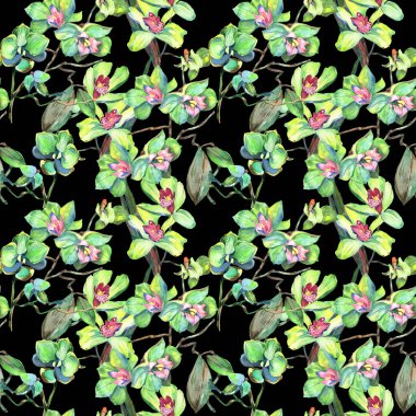 Kır çiçeği orkide çiçek deseni suluboya tarzında.