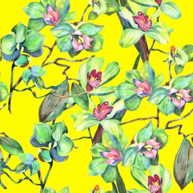 Kır çiçeği orkide çiçek deseni suluboya tarzında.