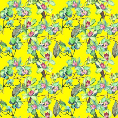 Kır çiçeği orkide çiçek deseni suluboya tarzında.