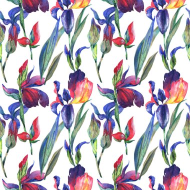 Kır çiçeği Iris çiçek deseni suluboya tarzında.