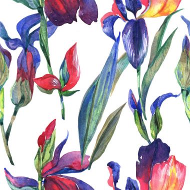 Kır çiçeği Iris çiçek deseni suluboya tarzında.