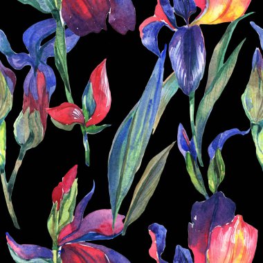 Kır çiçeği Iris çiçek deseni suluboya tarzında.
