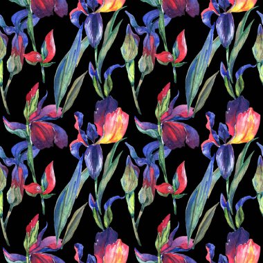 Kır çiçeği Iris çiçek deseni suluboya tarzında.