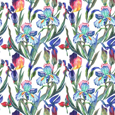 Kır çiçeği Iris çiçek deseni suluboya tarzında.