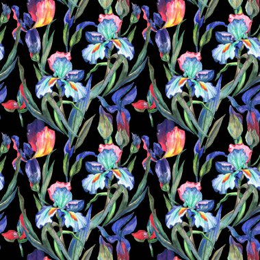 Kır çiçeği Iris çiçek deseni suluboya tarzında.