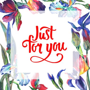 Kır çiçeği Iris çiçek çerçeve suluboya tarzında.