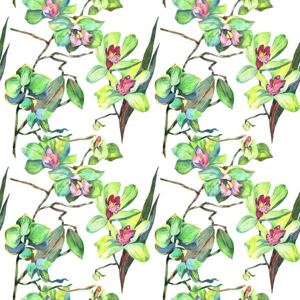 Wildflower orchid flower pattern in a watercolor style. — Stock Photo, Image