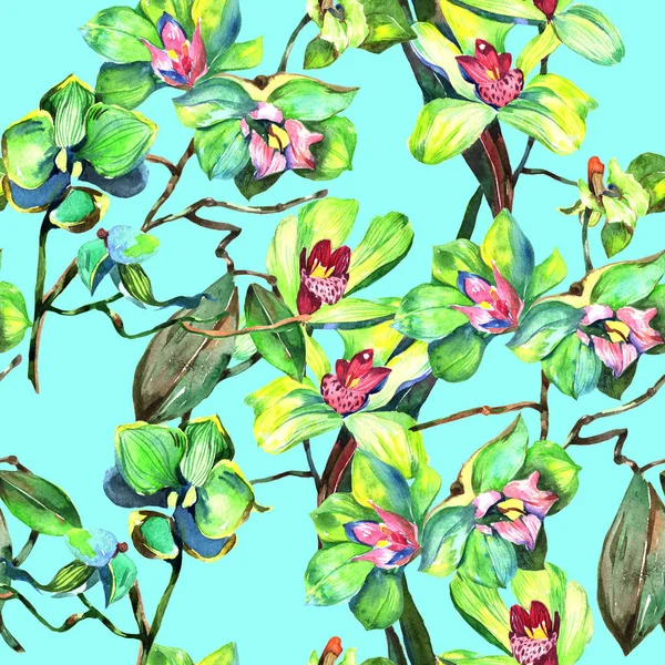 Kır çiçeği orkide çiçek deseni suluboya tarzında.