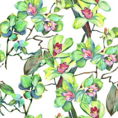 Kır çiçeği orkide çiçek deseni suluboya tarzında.