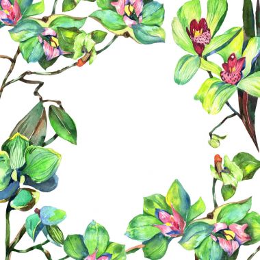Kır çiçeği orkide çiçek çerçeve suluboya tarzında.