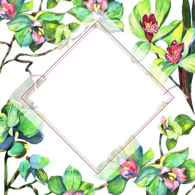 Kır çiçeği orkide çiçek çerçeve suluboya tarzında.