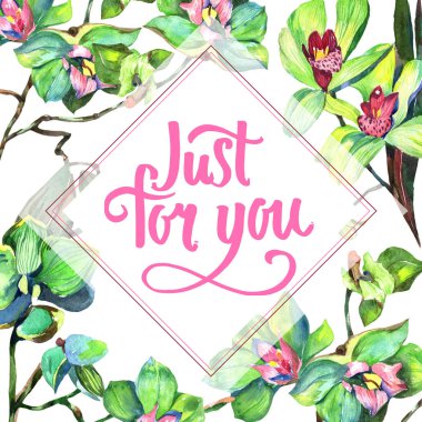 Kır çiçeği orkide çiçek çerçeve suluboya tarzında.