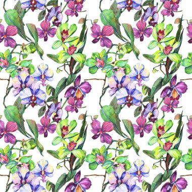 Kır çiçeği orkide çiçek deseni suluboya tarzında.