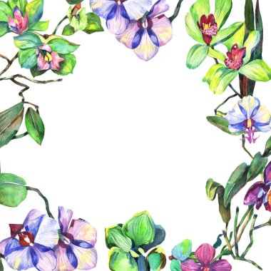 Kır çiçeği orkide çiçek çerçeve suluboya tarzında.
