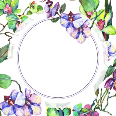 Kır çiçeği orkide çiçek çerçeve suluboya tarzında.