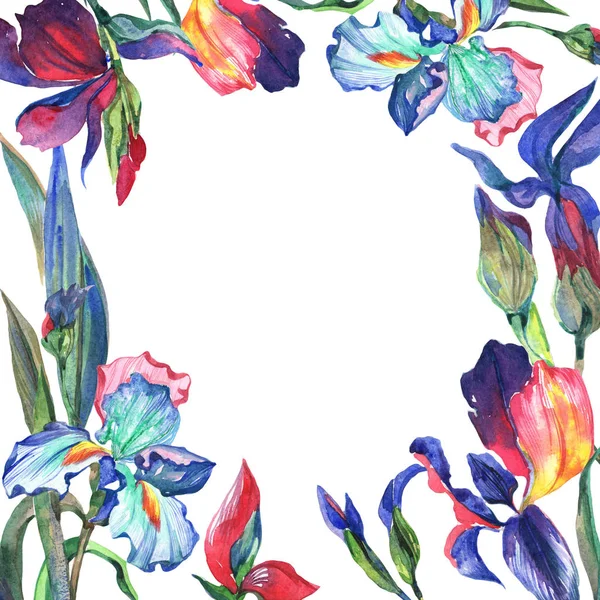 Kır çiçeği Iris çiçek çerçeve suluboya tarzında.
