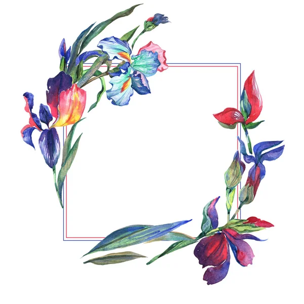 Wildblume Iris Blume Rahmen in einem Aquarell-Stil. — Stockfoto