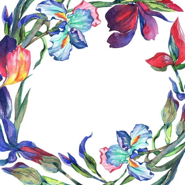 Kır çiçeği Iris çiçek çerçeve suluboya tarzında.