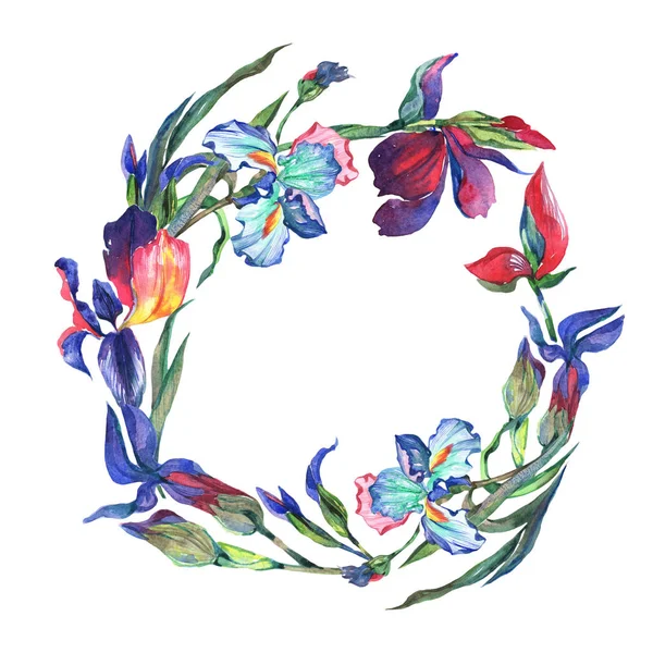 Kır çiçeği Iris çiçek çelenk suluboya tarzında.