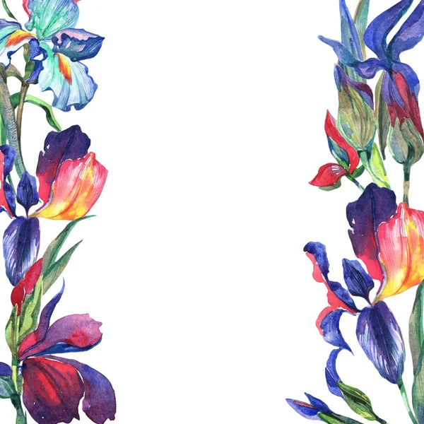 Wildflower iris blomma ram i akvarell stil. — Stockfoto