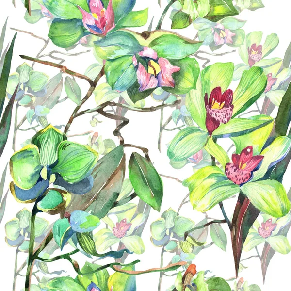 Wildflower orkidé blommönster i akvarell stil. — Stockfoto