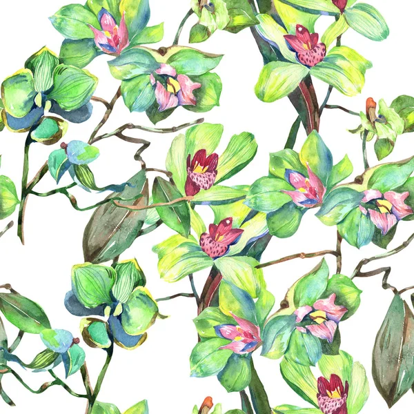 Kır çiçeği orkide çiçek deseni suluboya tarzında.