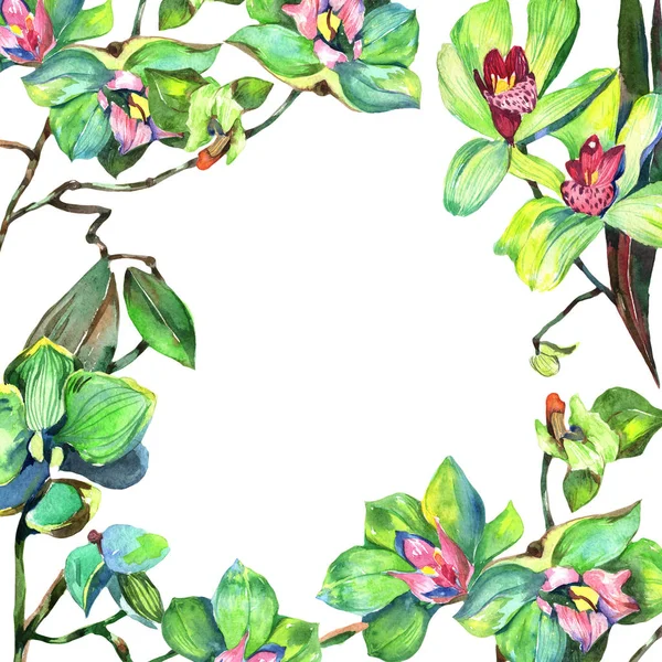 Kır çiçeği orkide çiçek çerçeve suluboya tarzında.