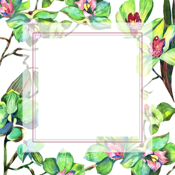 Wildblumen-Orchideen-Blumenrahmen im Aquarell-Stil. — Stockfoto