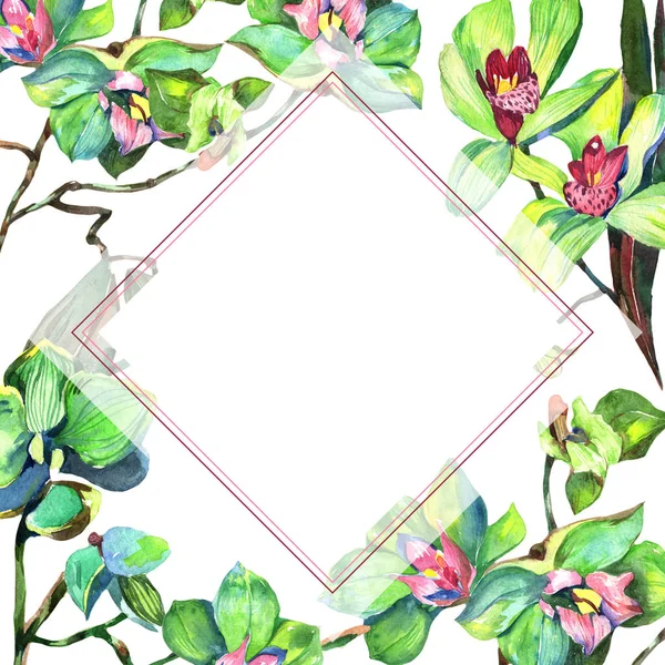 Kır çiçeği orkide çiçek çerçeve suluboya tarzında.