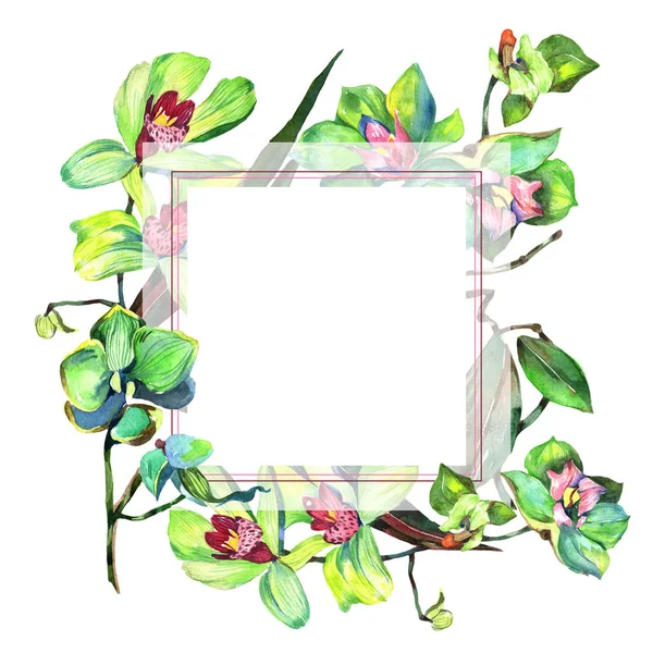 Aquarell handgemaltes Blumenbanner im tropischen Stil, isoliert auf