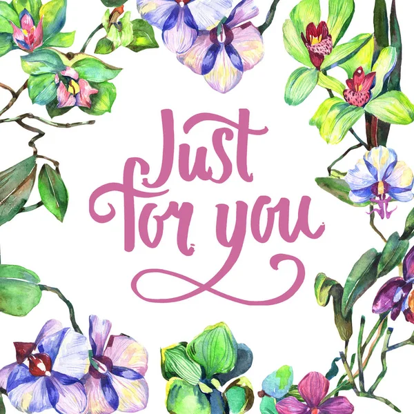 Kır çiçeği orkide çiçek çerçeve suluboya tarzında.