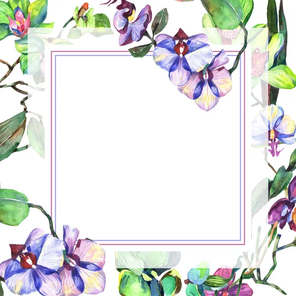 Wildflower orchid flower frame in a watercolor style.
