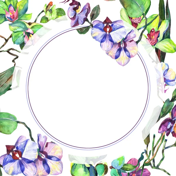 Kır çiçeği orkide çiçek çerçeve suluboya tarzında.