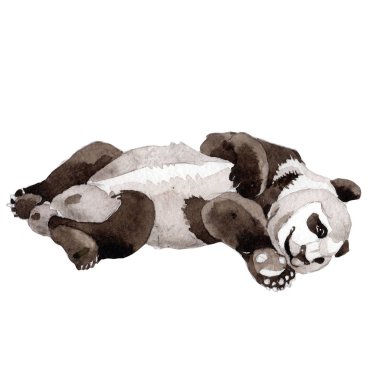 Panda vahşi hayvan izole bir suluboya tarzında.