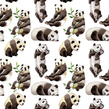 Panda vahşi hayvan desen suluboya tarzında.